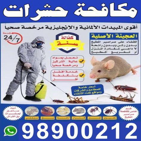 افضل شركة مكافحة حشرات الكويت ورش مبيدات حشرية فعالة وقوية بارخص الاسعار, شركة رش حشرات والقضاء على القوارض ومكافحة الصراصير والبق والنمل والفئران والجرذان.