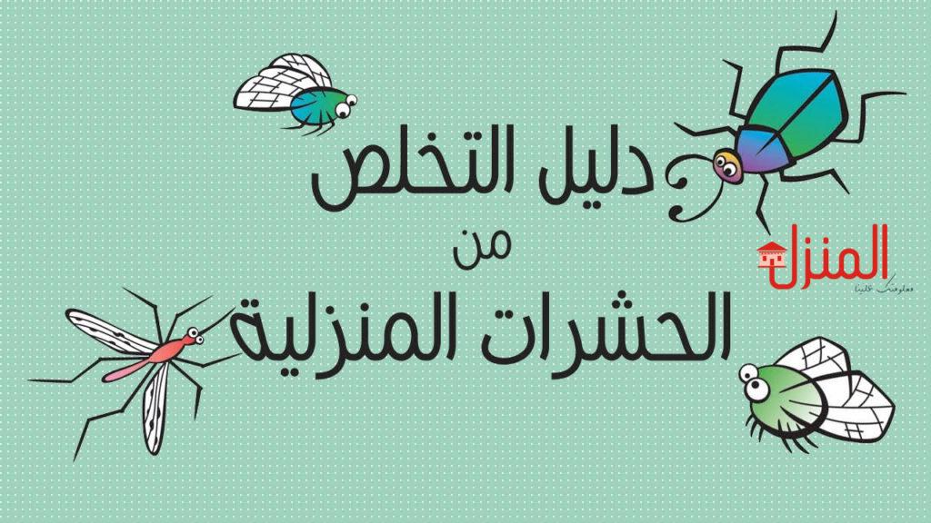 مكافحة حشرات و قوارض الكويت جميع مناطق الكويت بأفضل الاسعار مع كفاله على جميع الاعمال التي نقوم لا تتردد بالاتصال.