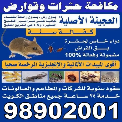 افضل شركة مكافحة حشرات بالكويت تقدم مكافحة حشرات وقوارض ورش حشرات ورش صراصير فقط اتصل على رقم شركة رش الحشرات ومكافح الحشرات والقوارض.