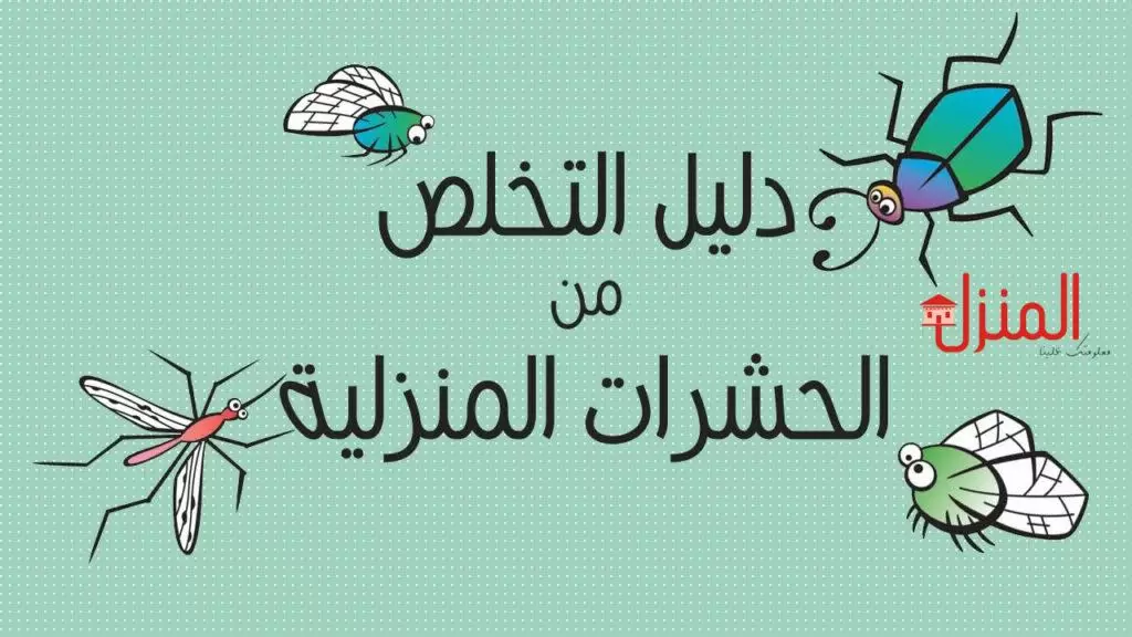 مكافحة حشرات و قوارض الكويت جميع مناطق الكويت بأفضل الاسعار مع كفاله على جميع الاعمال التي نقوم لا تتردد بالاتصال.